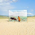 蒙古国荒漠化问题梳理